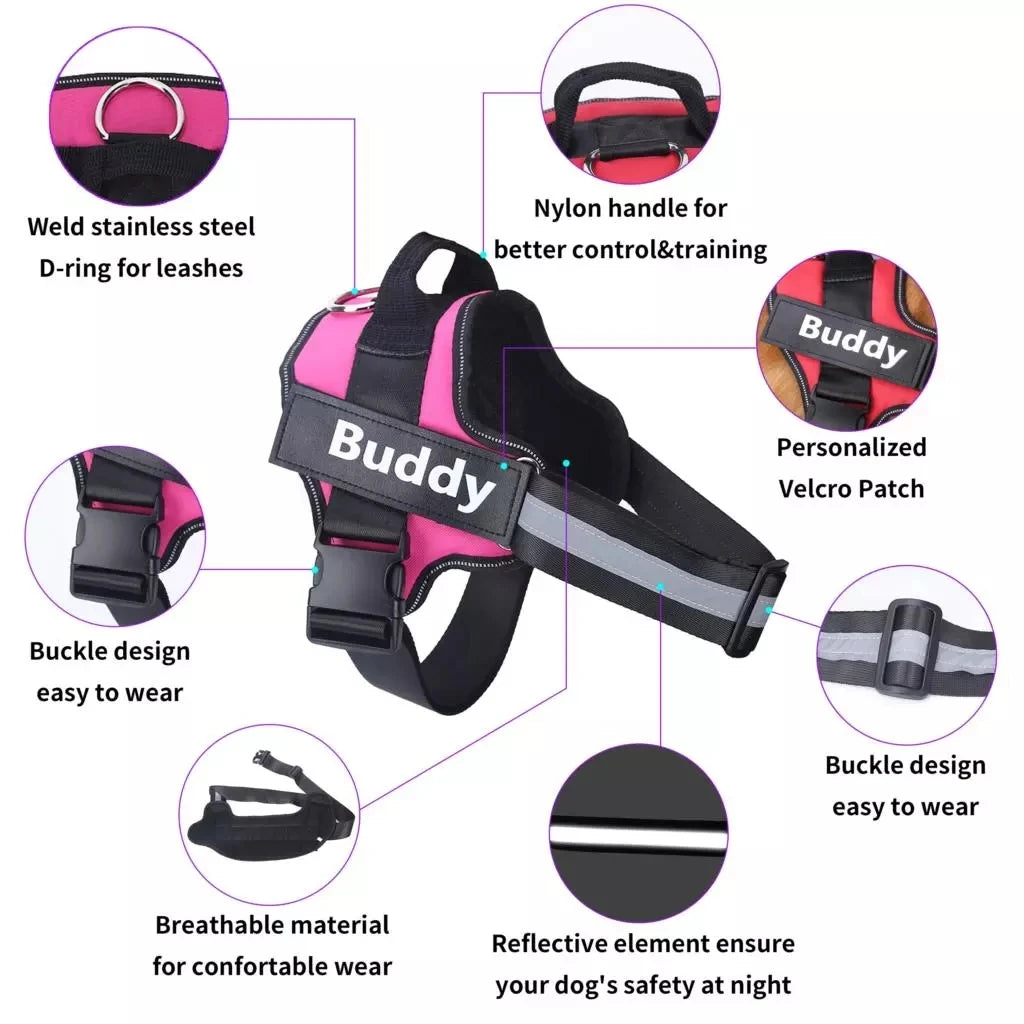 Personalized HealthyPets™ No-Pull Harness